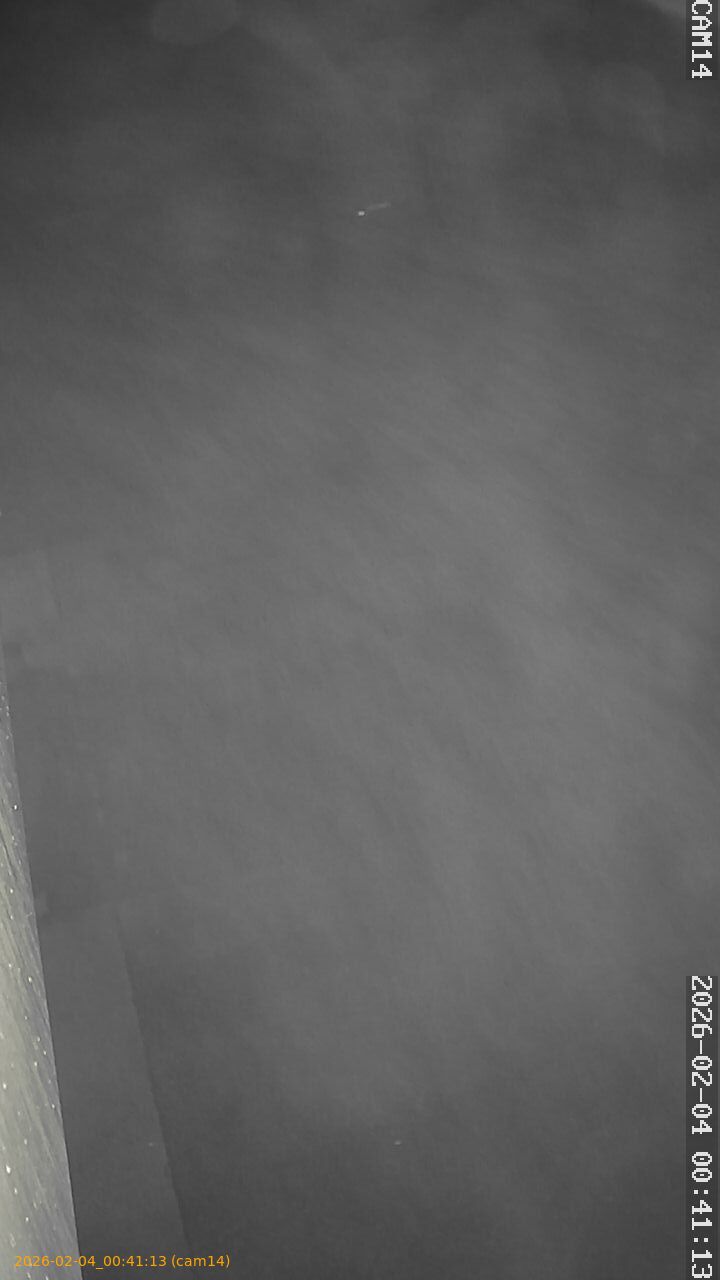 thumbnail_20260204004113