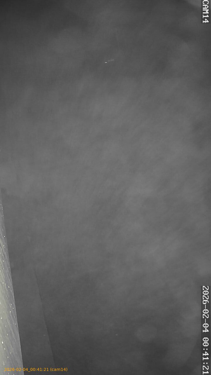 thumbnail_20260204004121