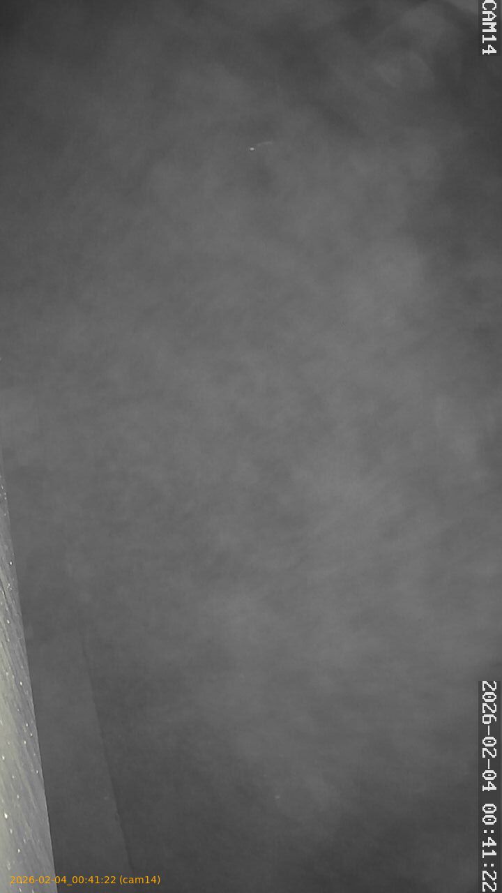 thumbnail_20260204004122