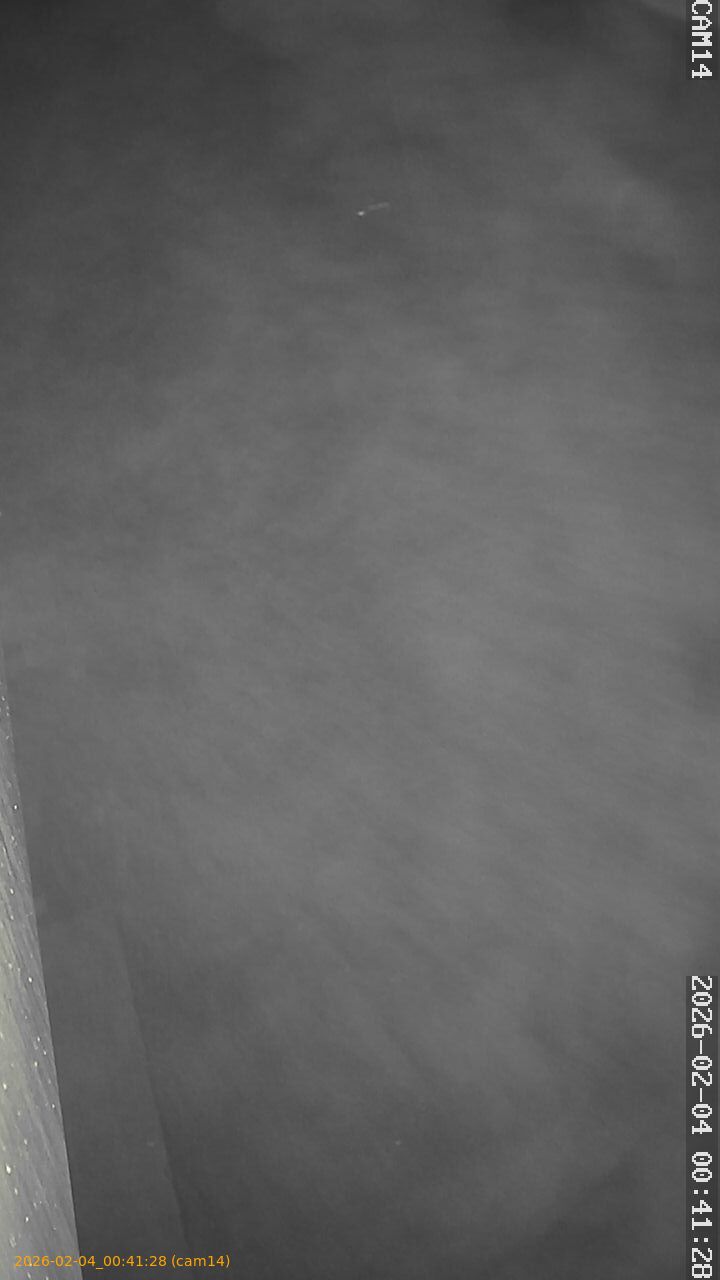 thumbnail_20260204004128