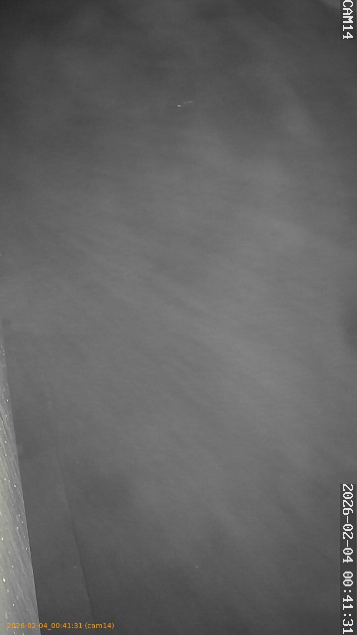 thumbnail_20260204004131