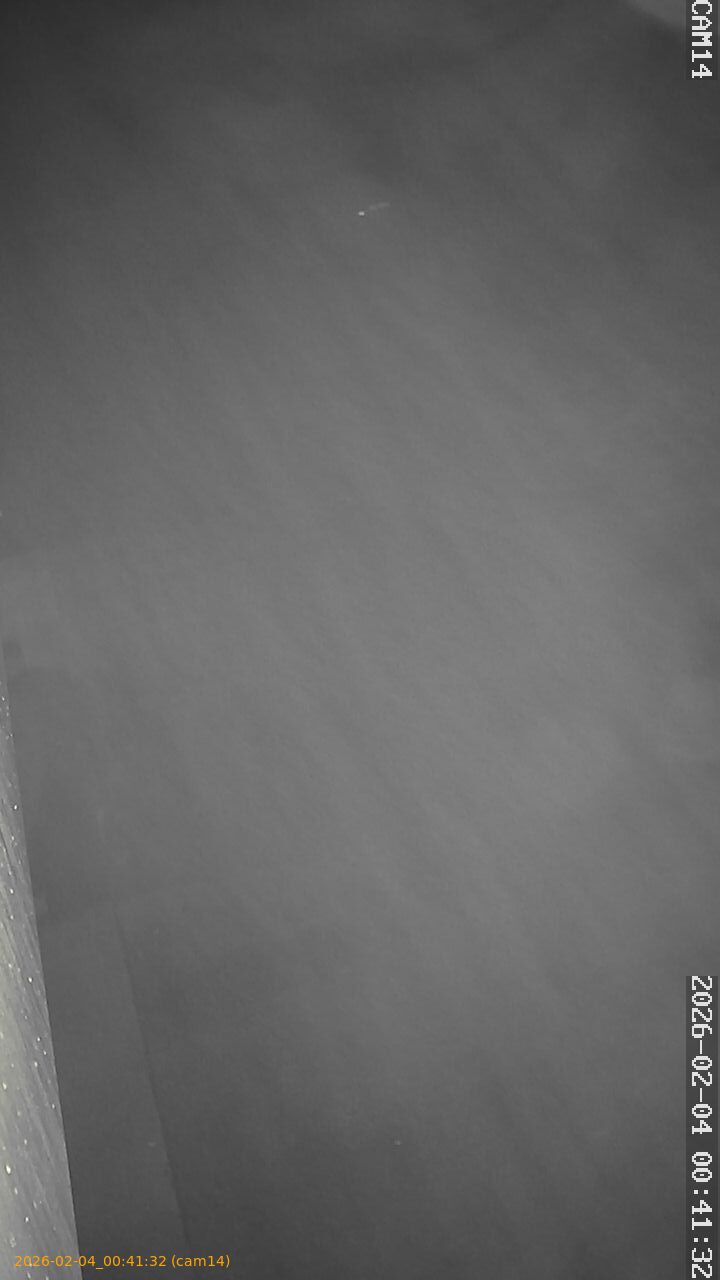 thumbnail_20260204004132