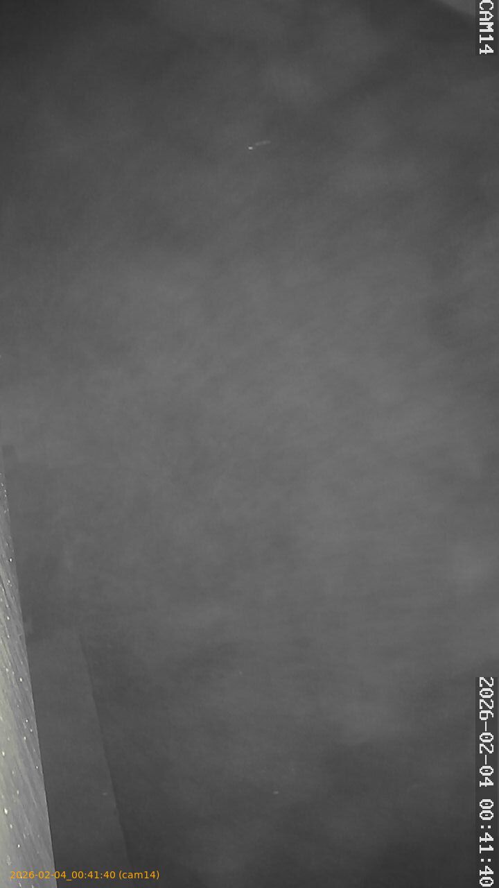 thumbnail_20260204004140