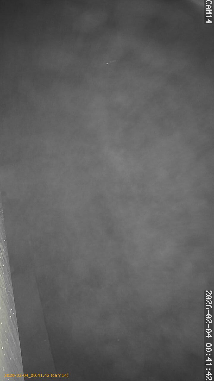 thumbnail_20260204004142