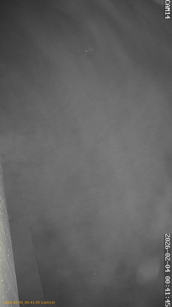 thumbnail_20260204004145