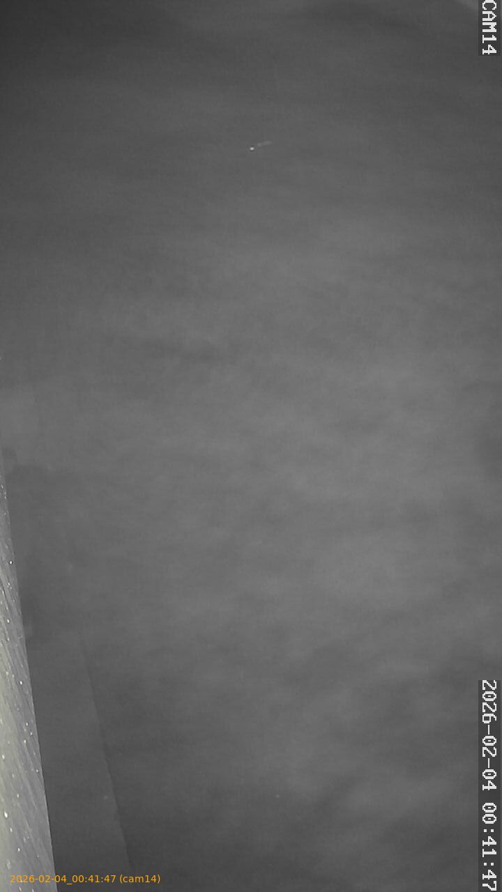 thumbnail_20260204004147