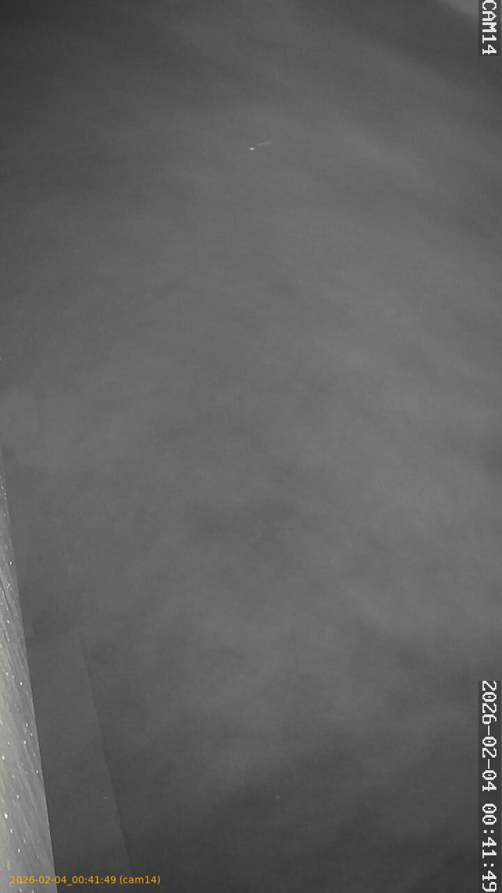 thumbnail_20260204004149