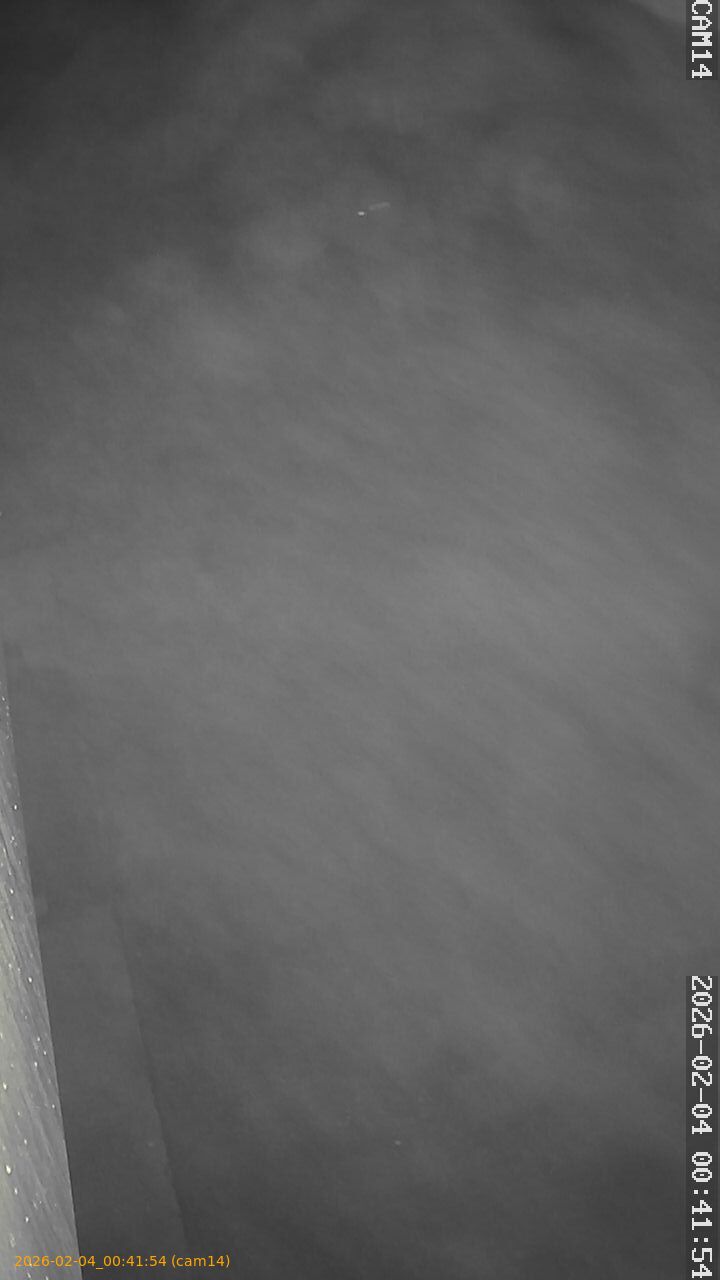 thumbnail_20260204004154