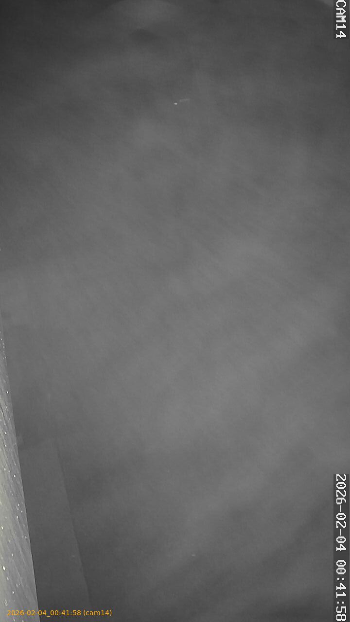 thumbnail_20260204004158