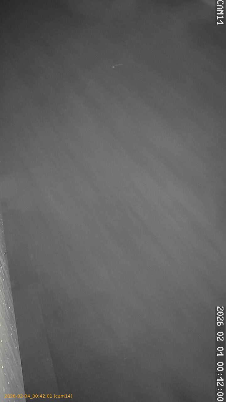 thumbnail_20260204004201