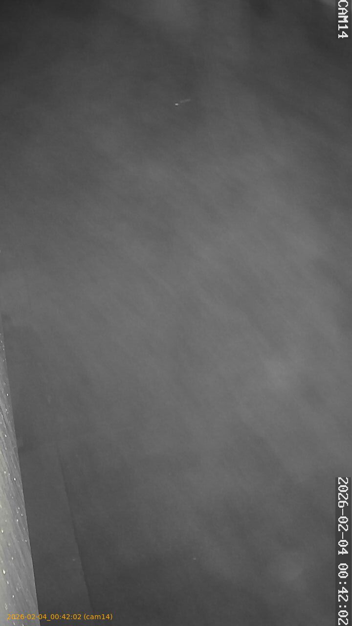 thumbnail_20260204004202