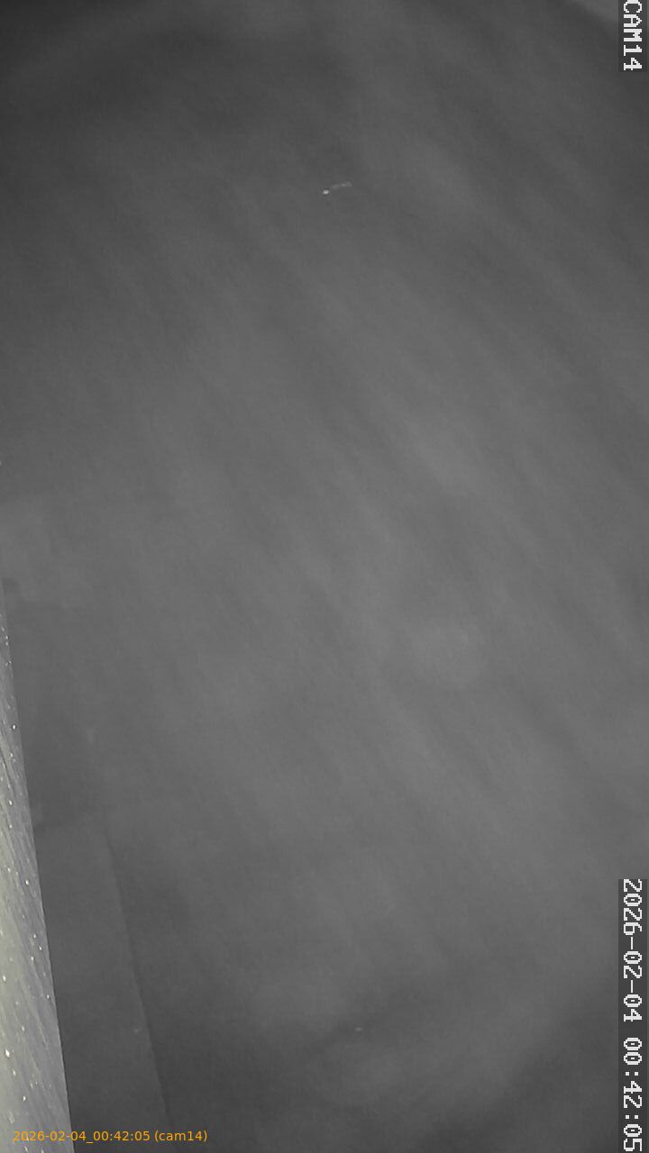 thumbnail_20260204004205