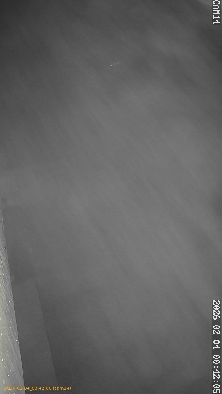 thumbnail_20260204004206