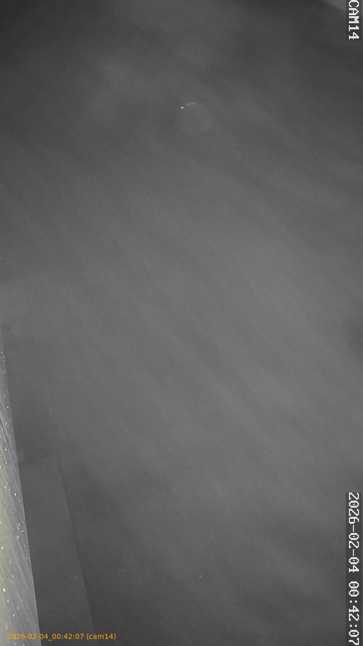 thumbnail_20260204004207