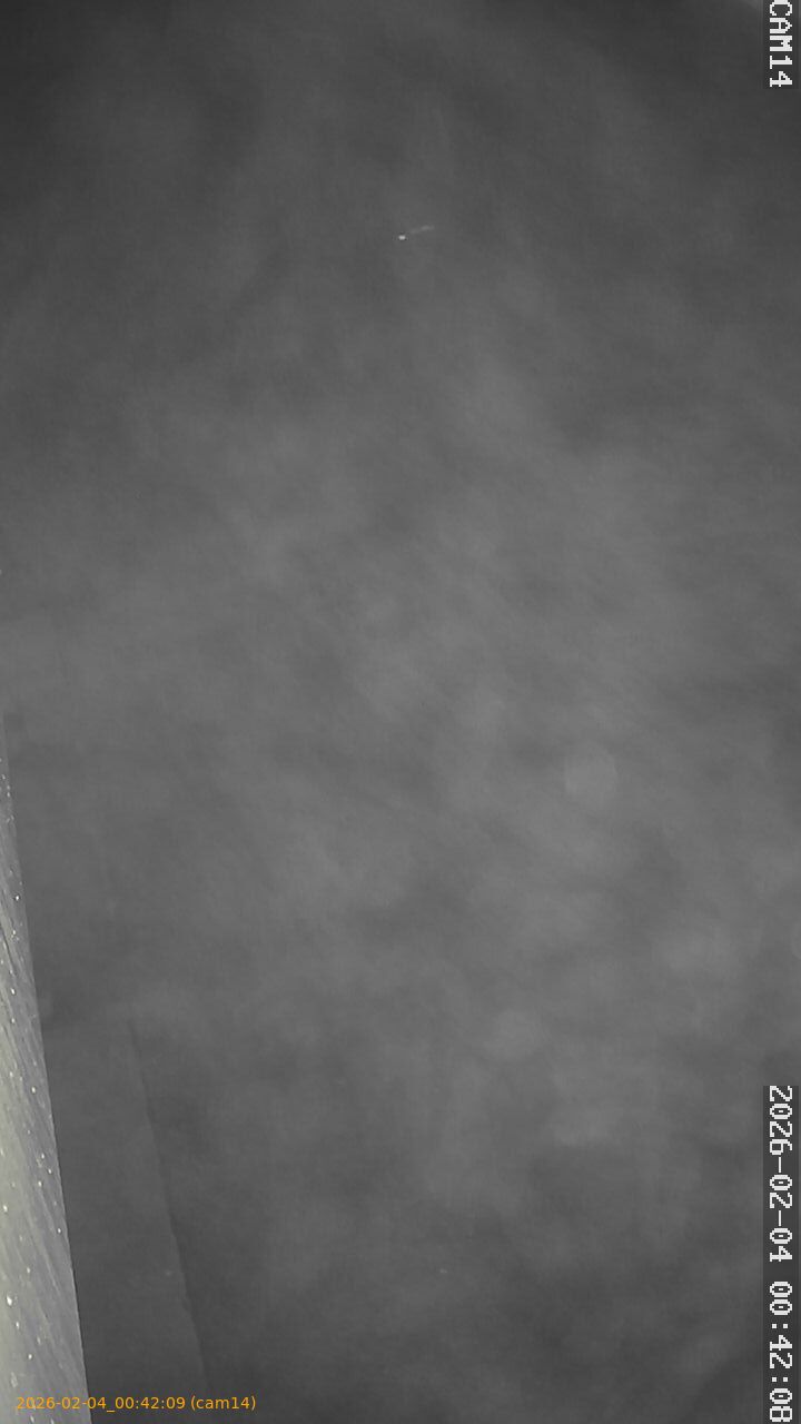 thumbnail_20260204004209