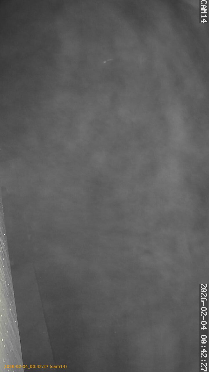 thumbnail_20260204004227