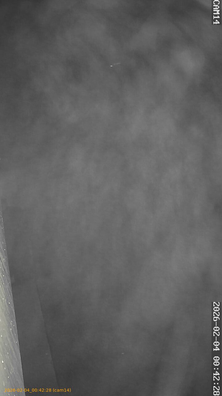 thumbnail_20260204004228