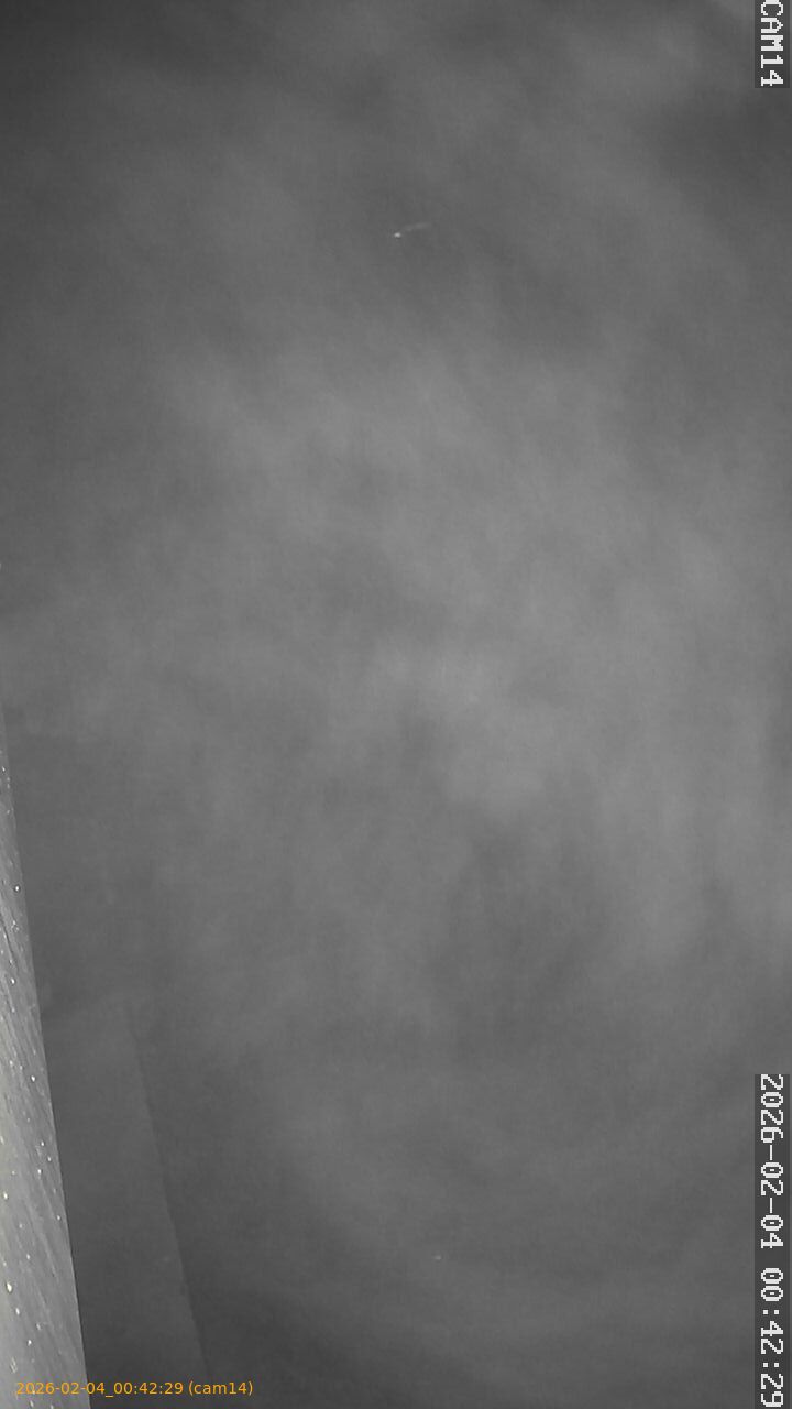 thumbnail_20260204004229