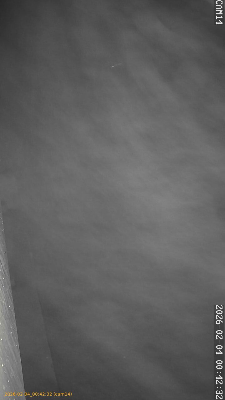 thumbnail_20260204004232