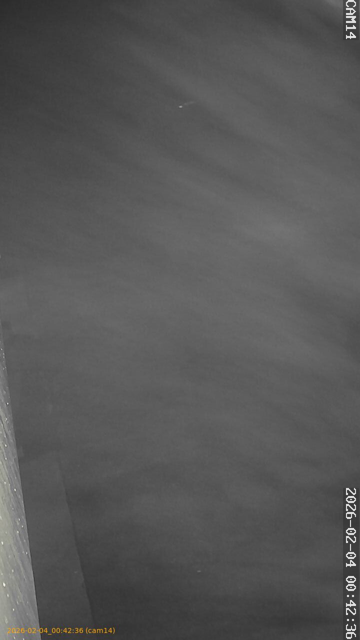 thumbnail_20260204004236