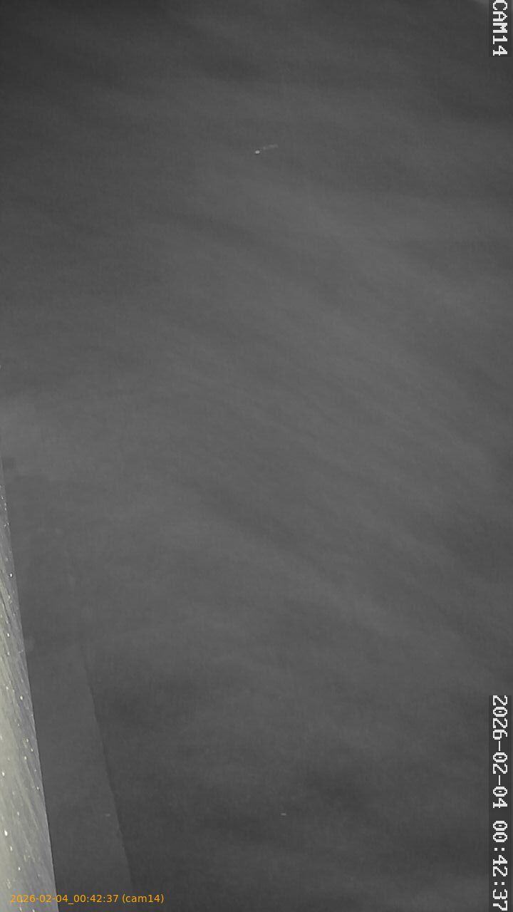 thumbnail_20260204004237