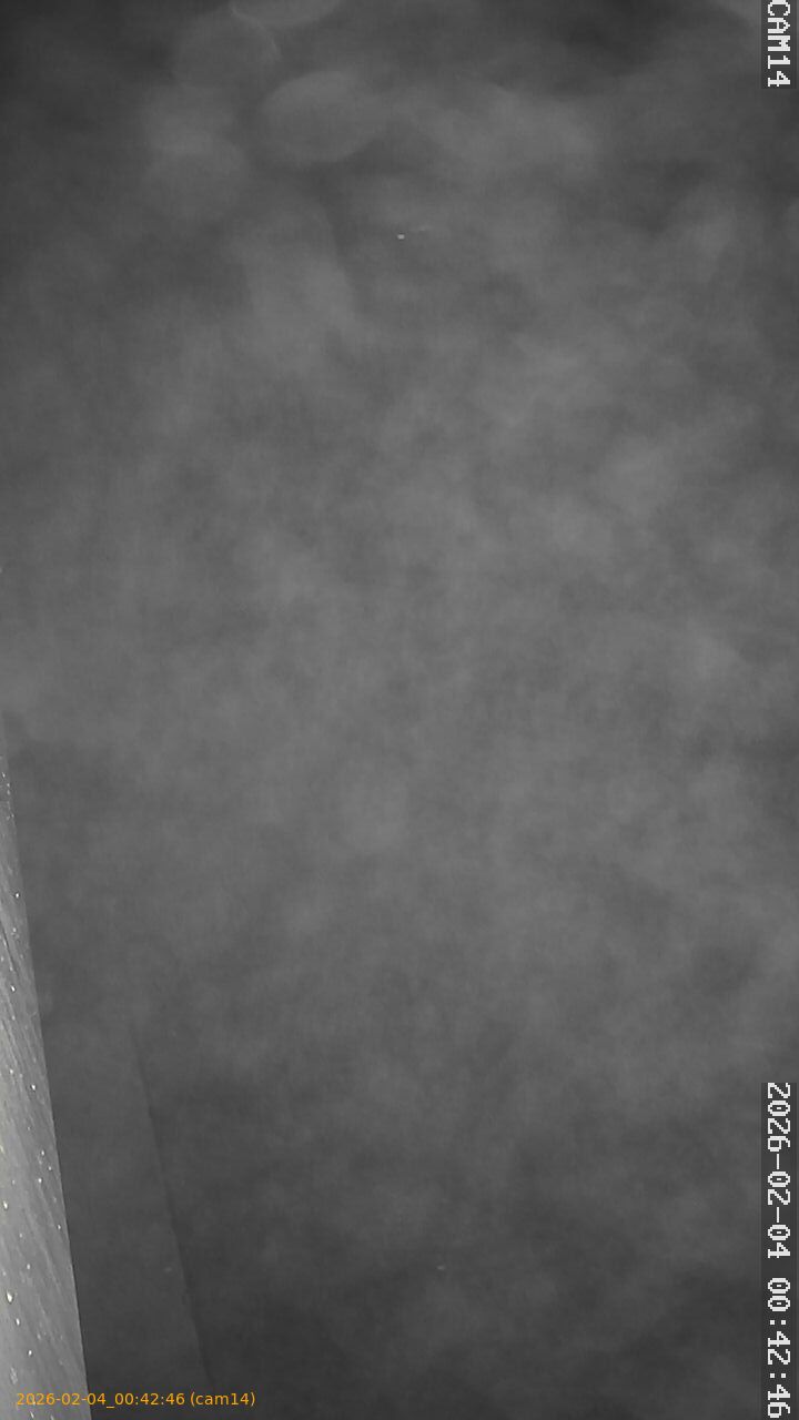 thumbnail_20260204004246