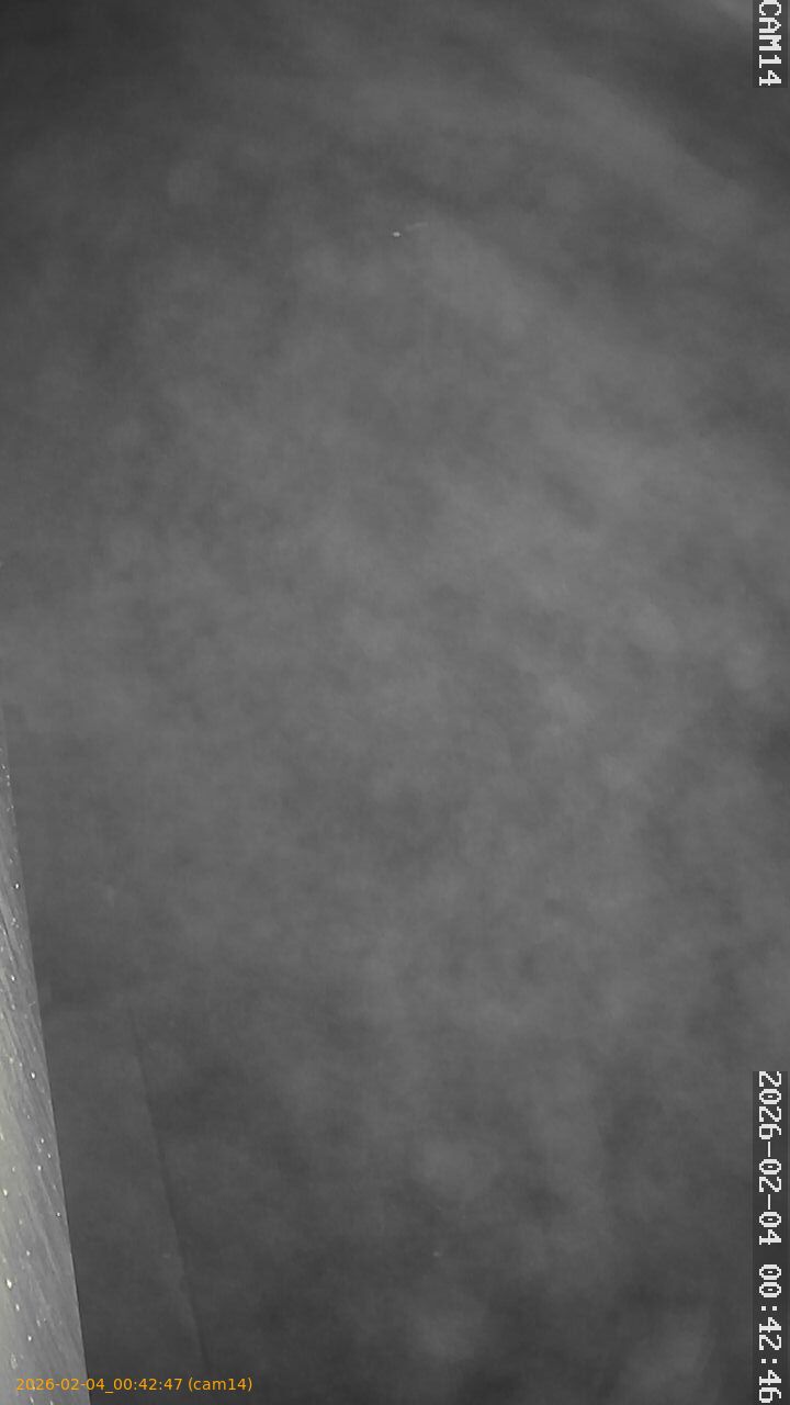 thumbnail_20260204004247