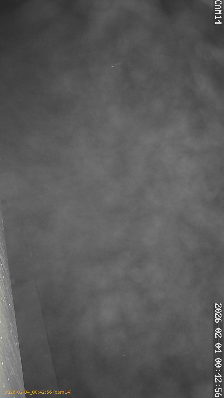 thumbnail_20260204004256