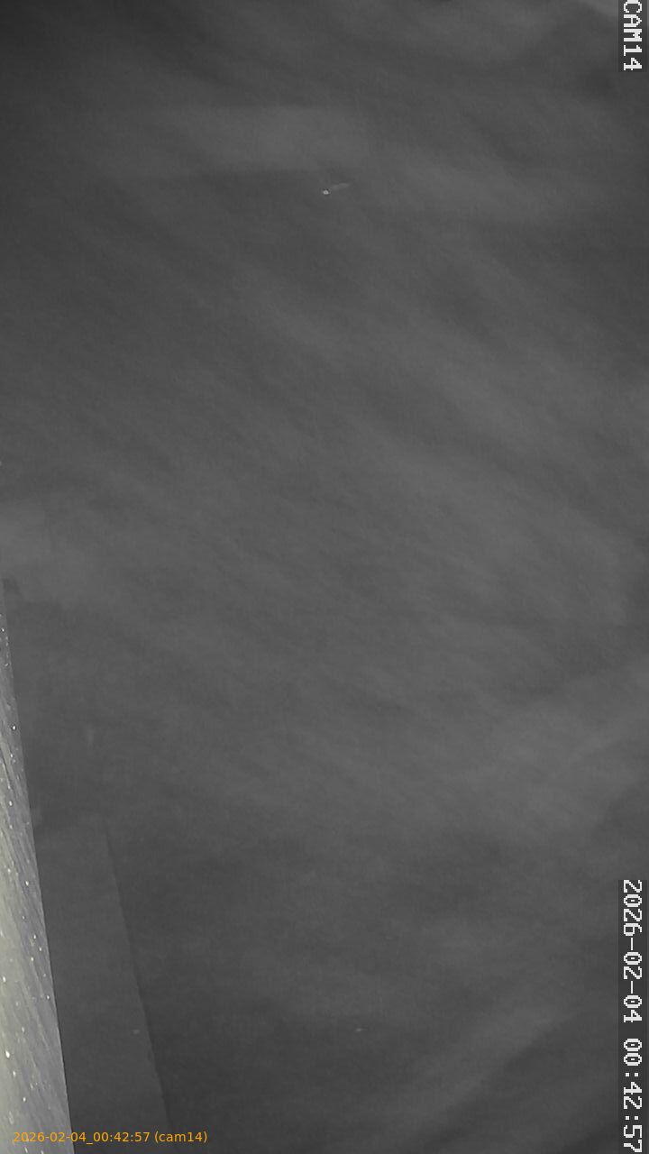 thumbnail_20260204004257