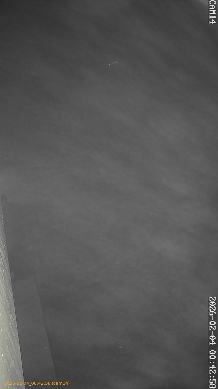 thumbnail_20260204004258