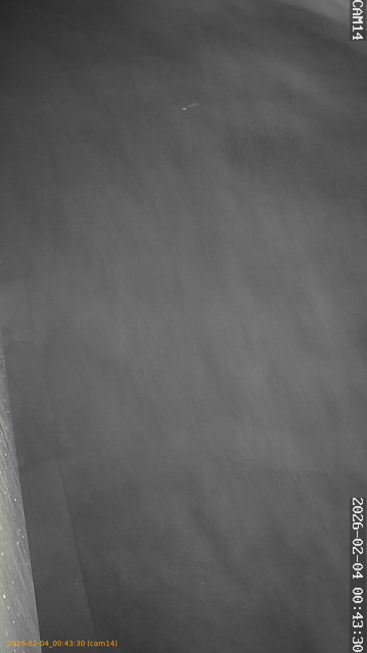 thumbnail_20260204004330