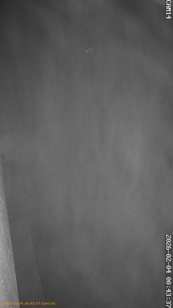 thumbnail_20260204004337