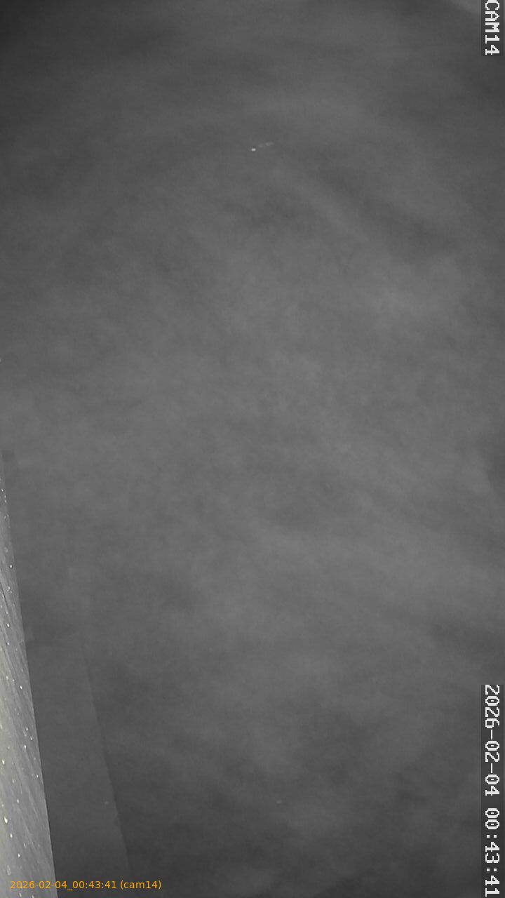 thumbnail_20260204004341