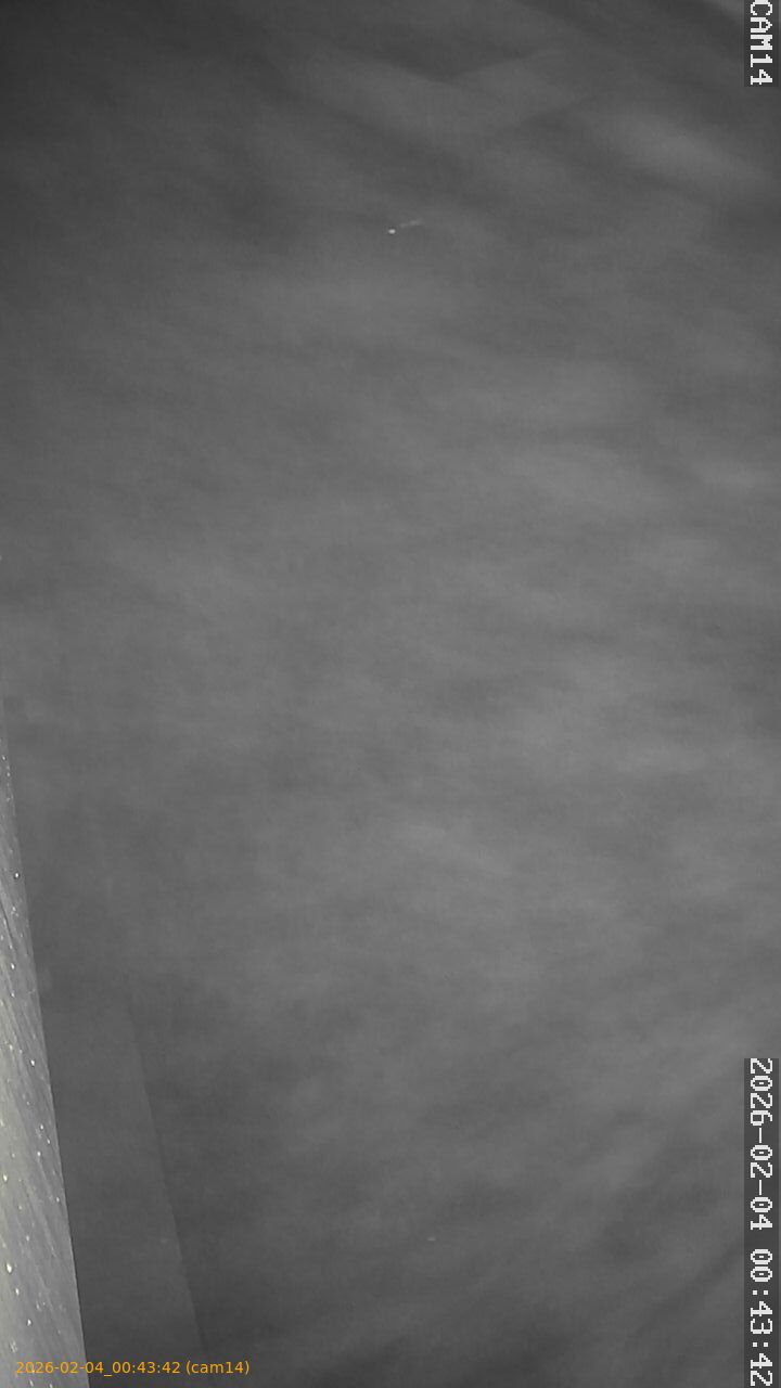 thumbnail_20260204004342