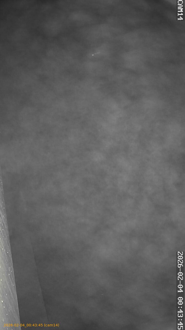 thumbnail_20260204004345