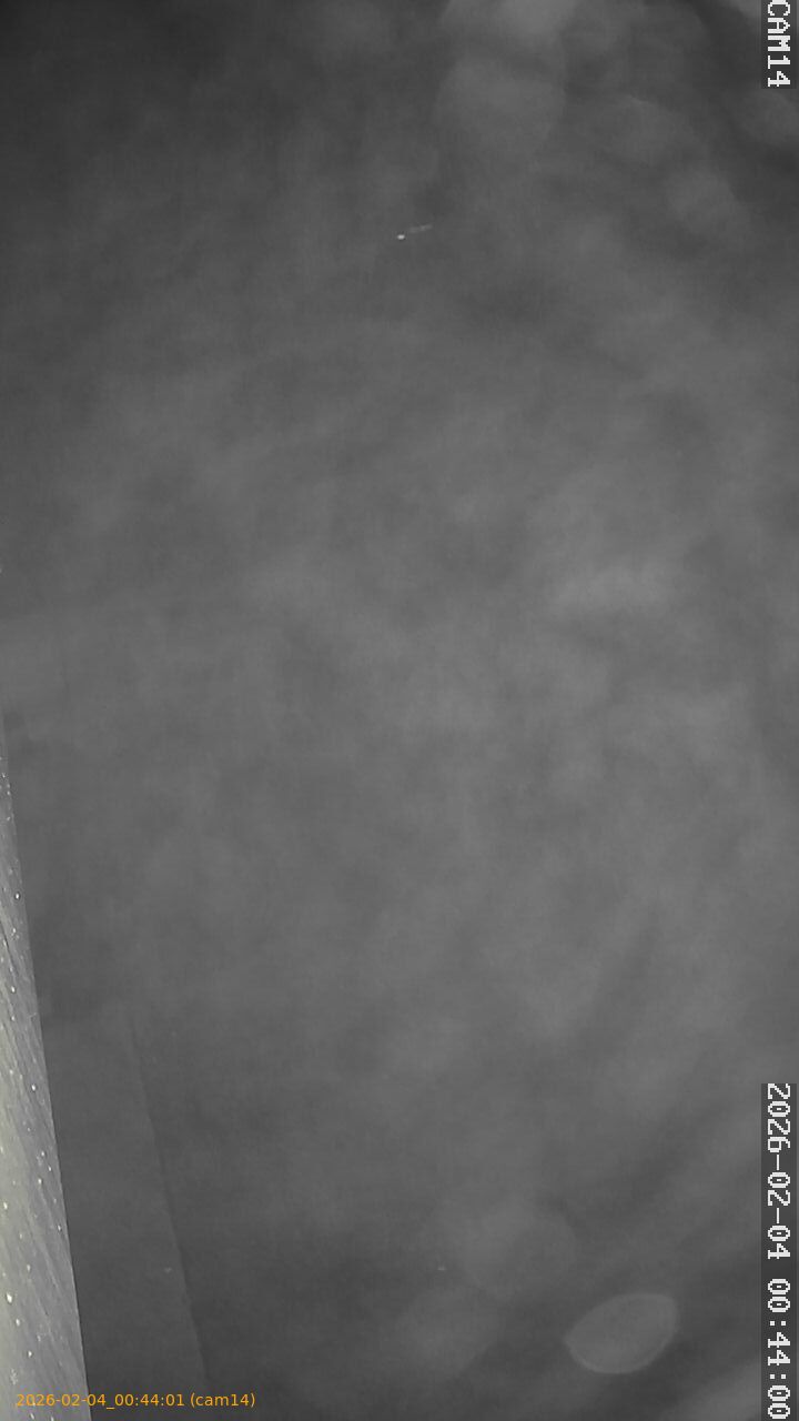 thumbnail_20260204004401