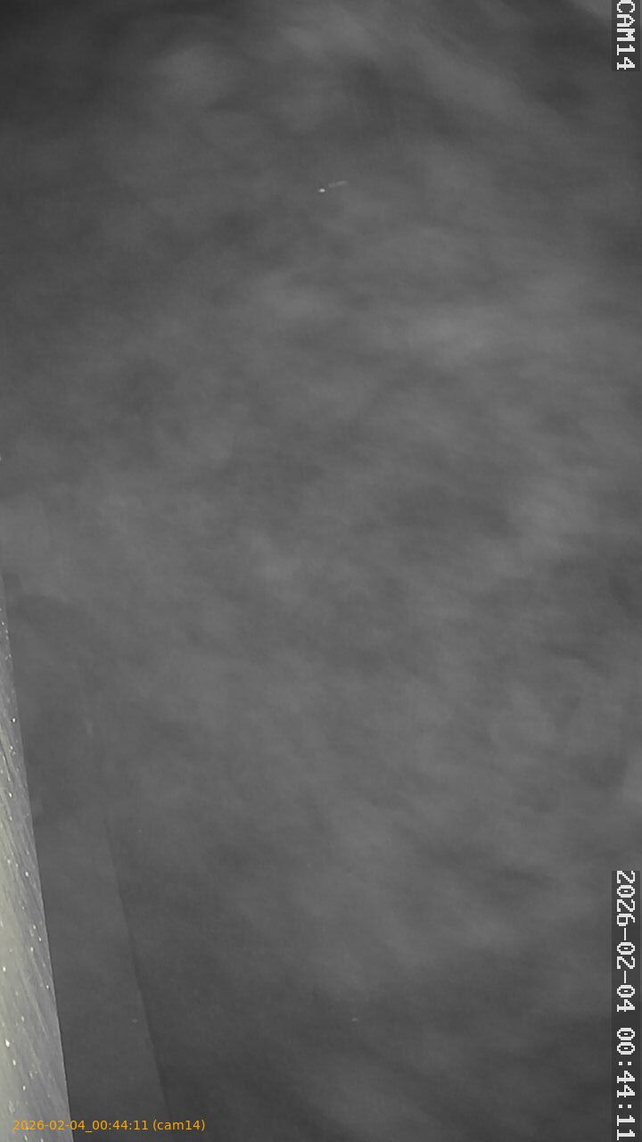 thumbnail_20260204004411