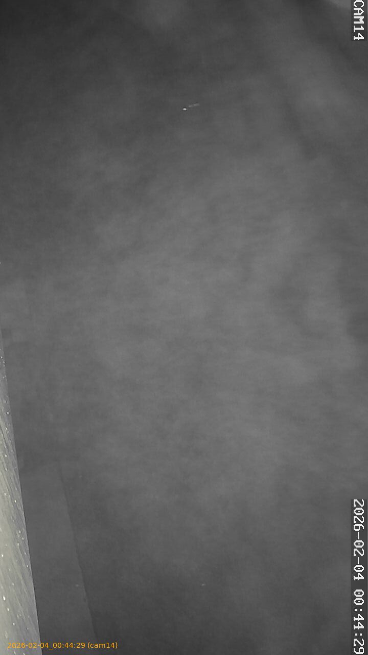 thumbnail_20260204004429