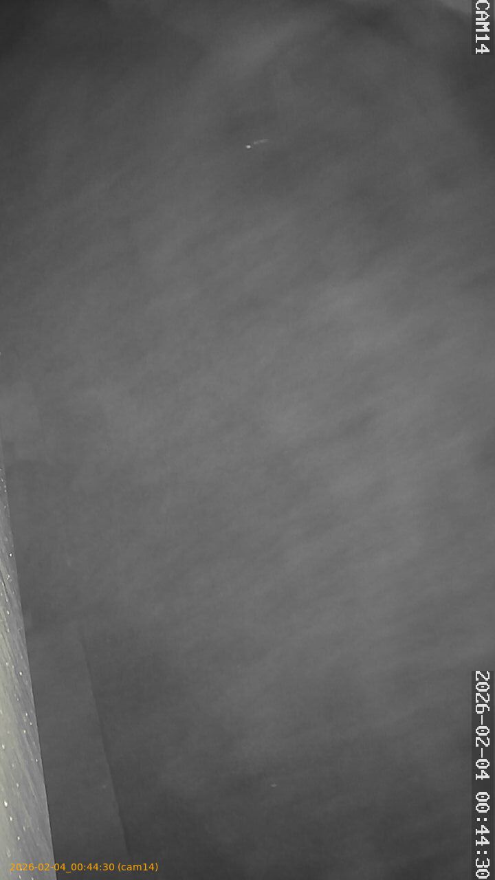 thumbnail_20260204004430