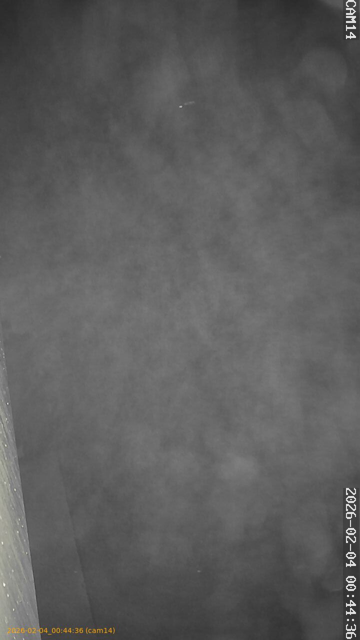 thumbnail_20260204004436