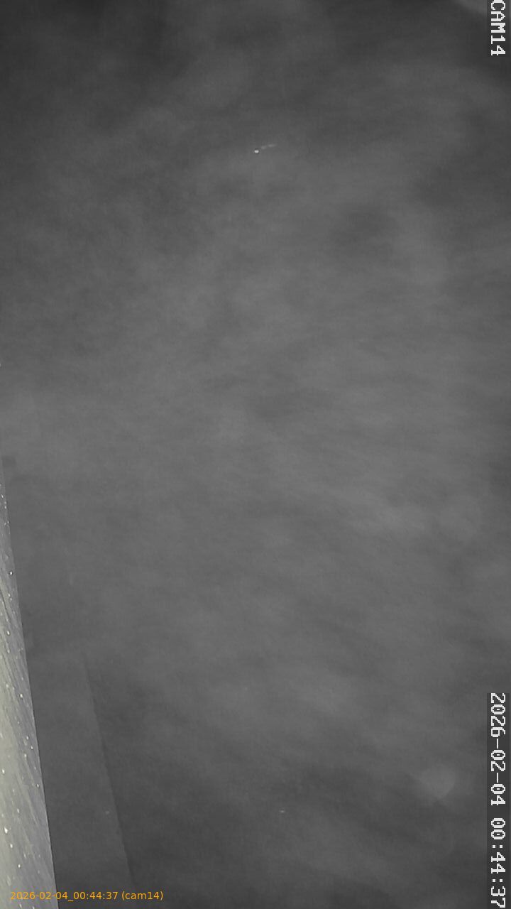 thumbnail_20260204004437