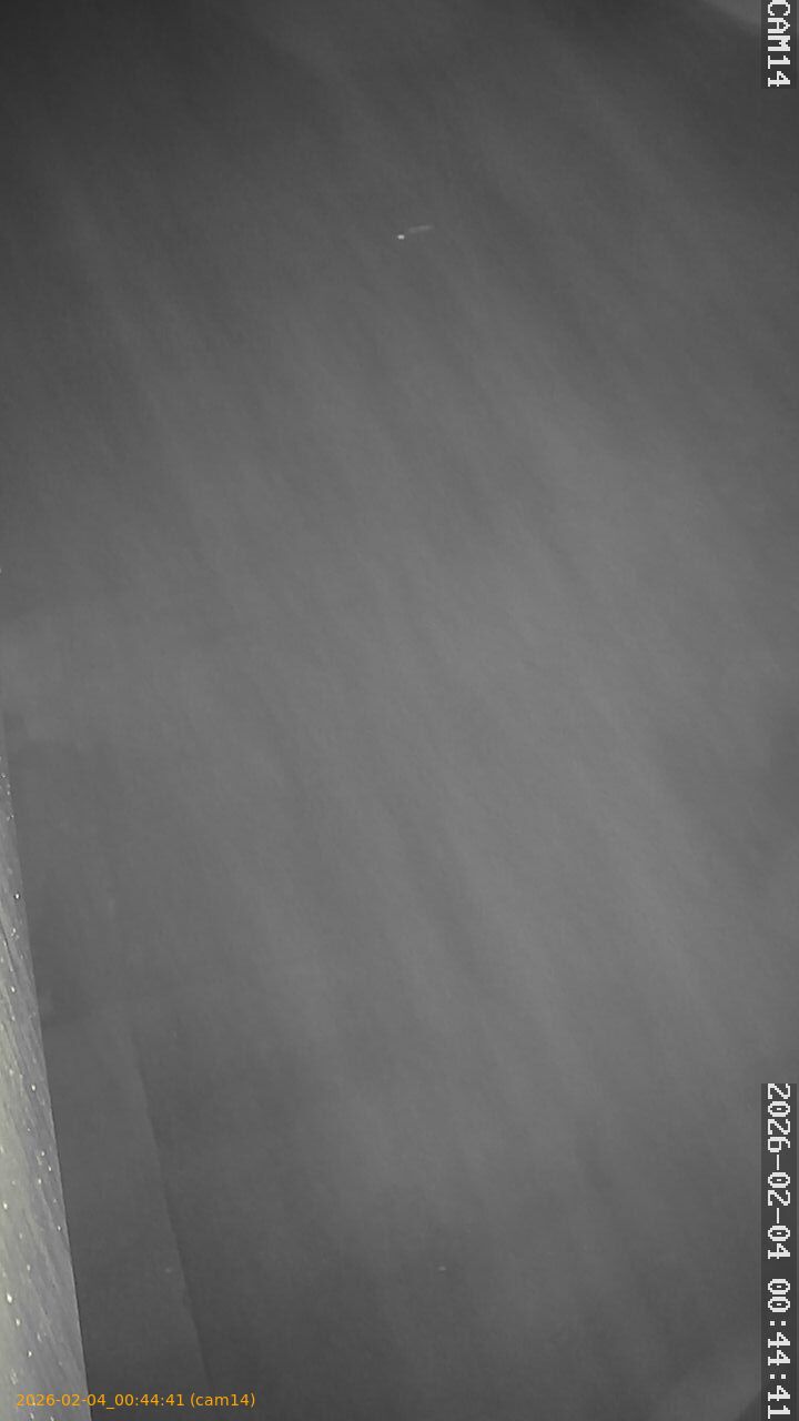 thumbnail_20260204004441