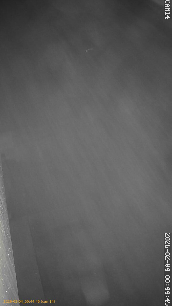 thumbnail_20260204004445