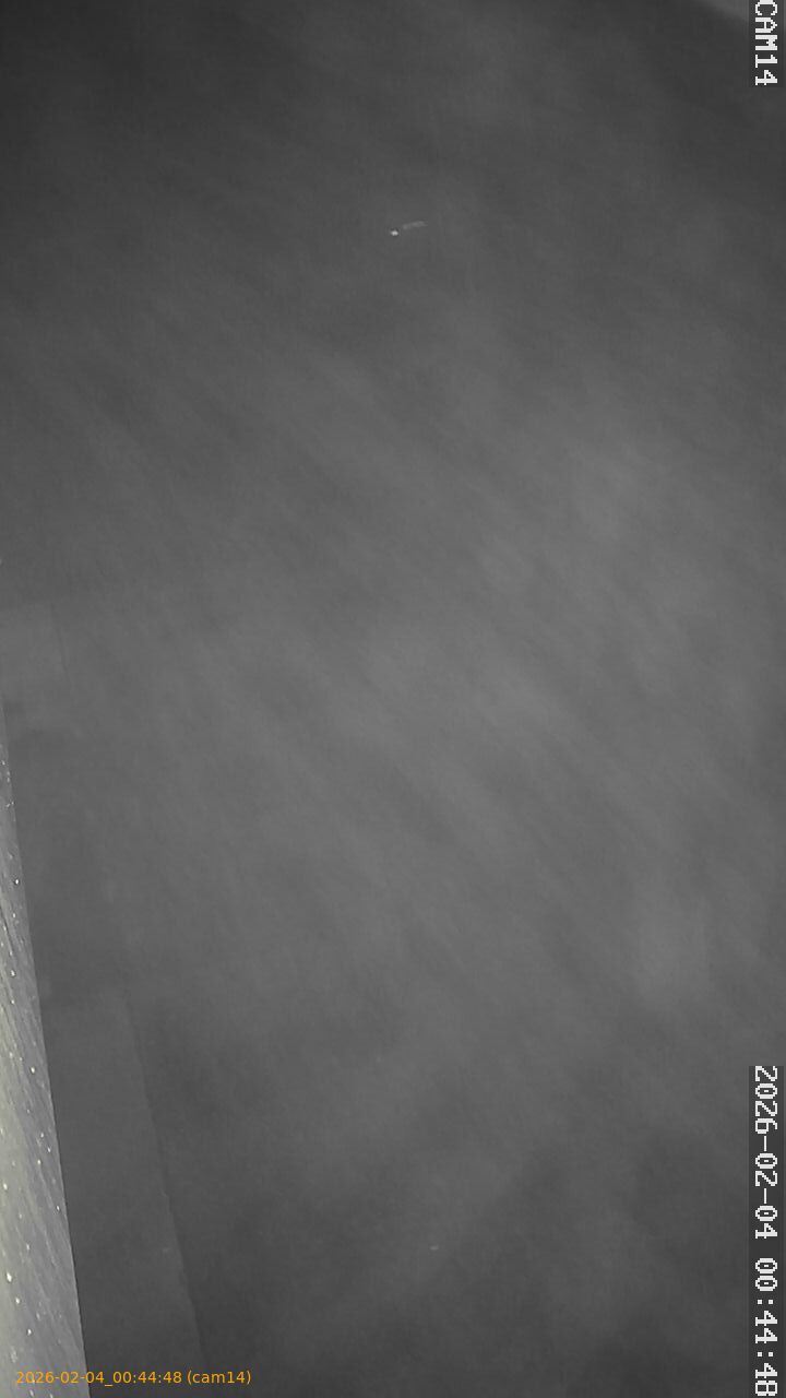 thumbnail_20260204004448