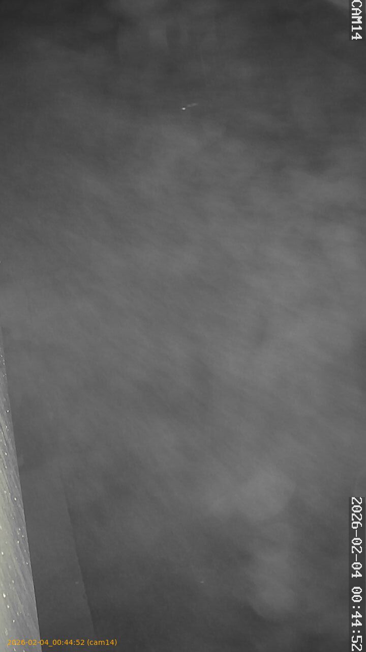 thumbnail_20260204004452