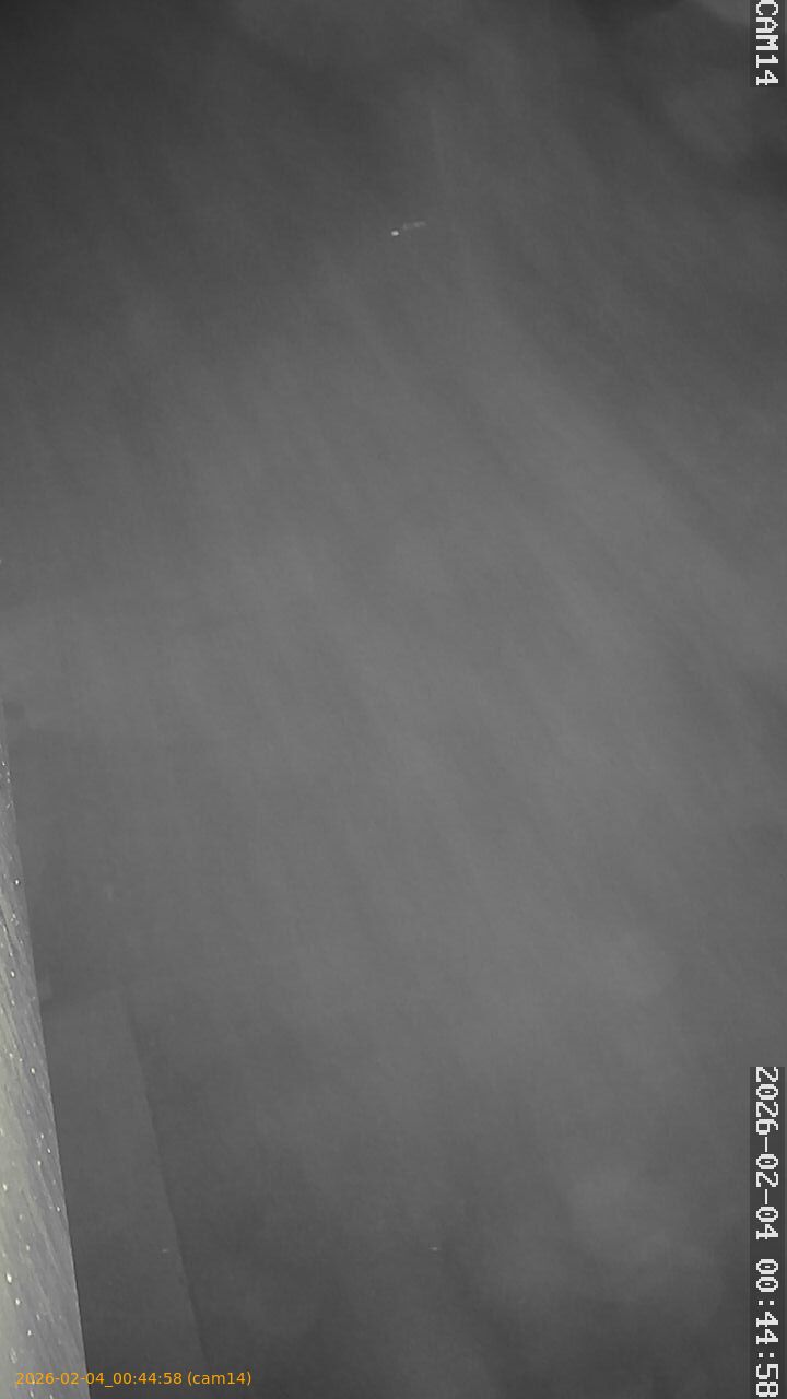 thumbnail_20260204004458