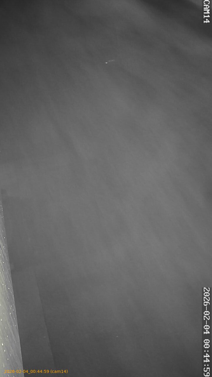 thumbnail_20260204004459