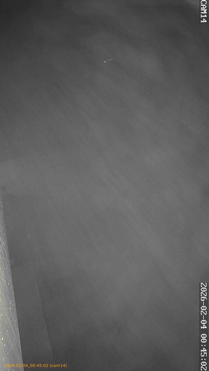 thumbnail_20260204004502