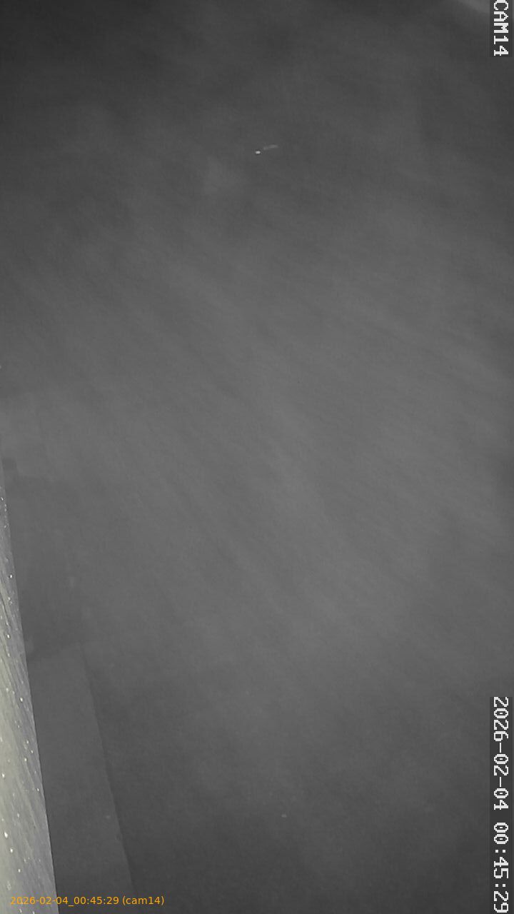 thumbnail_20260204004529