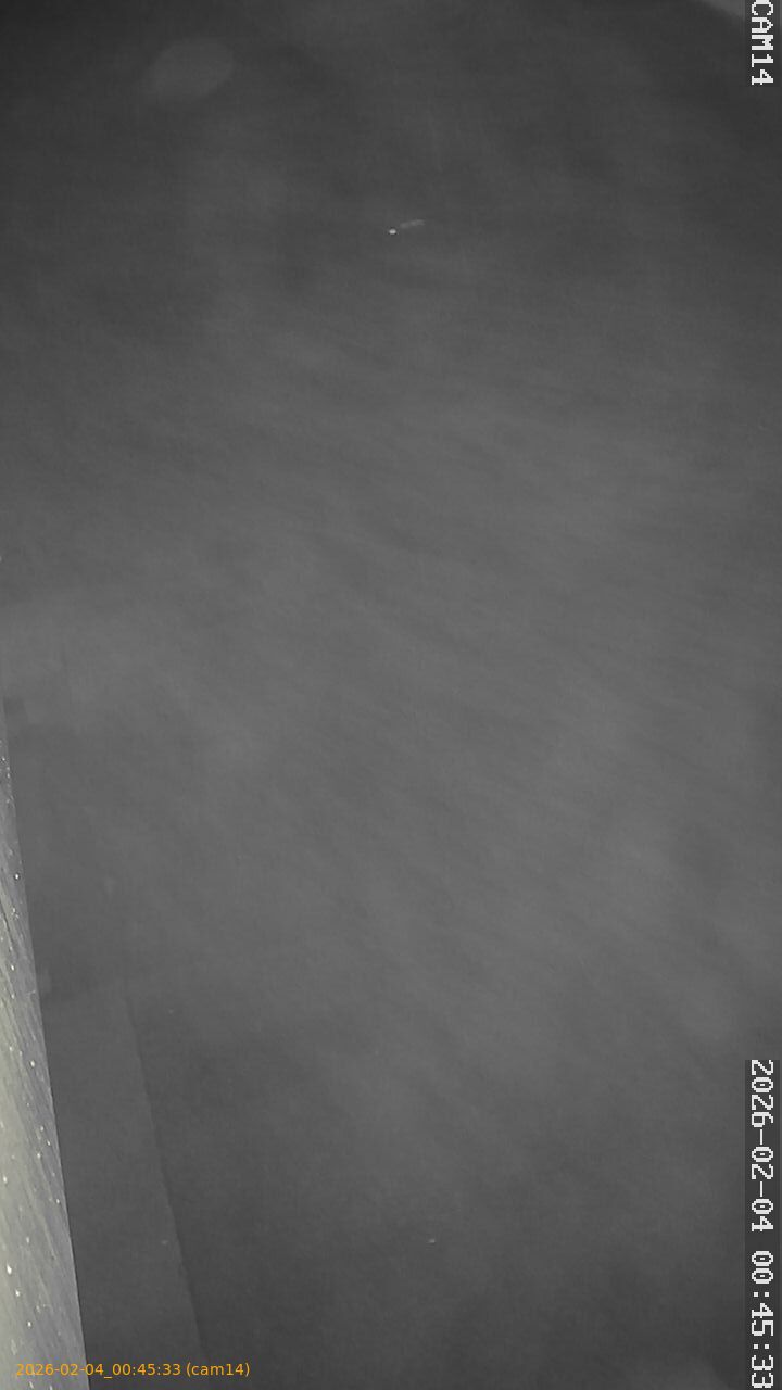 thumbnail_20260204004533